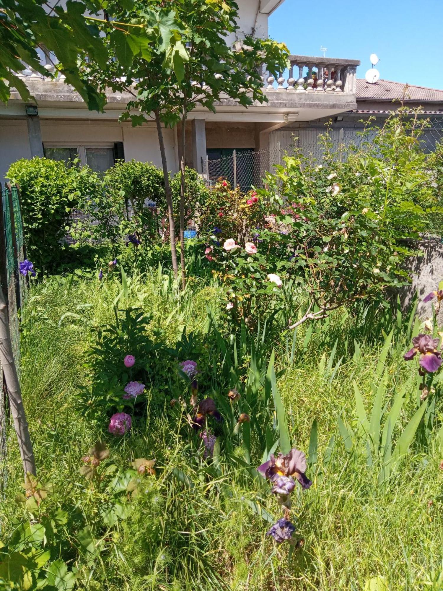 Rosalie Cottage Beaurepaire  Zewnętrze zdjęcie