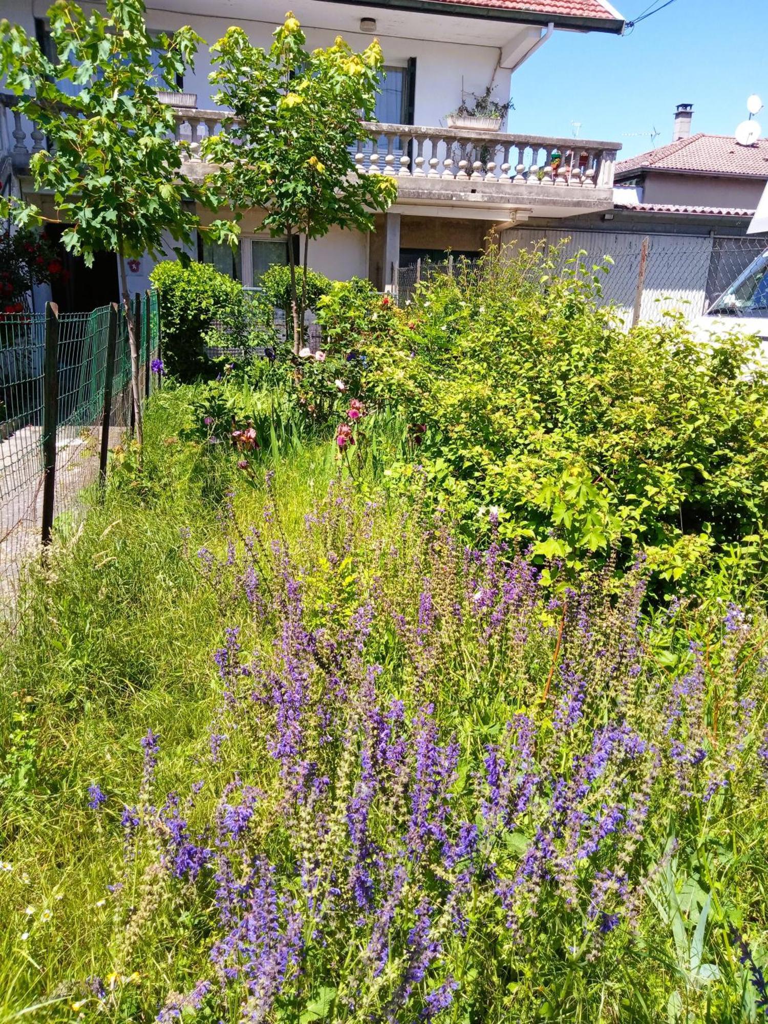 Rosalie Cottage Beaurepaire  Zewnętrze zdjęcie