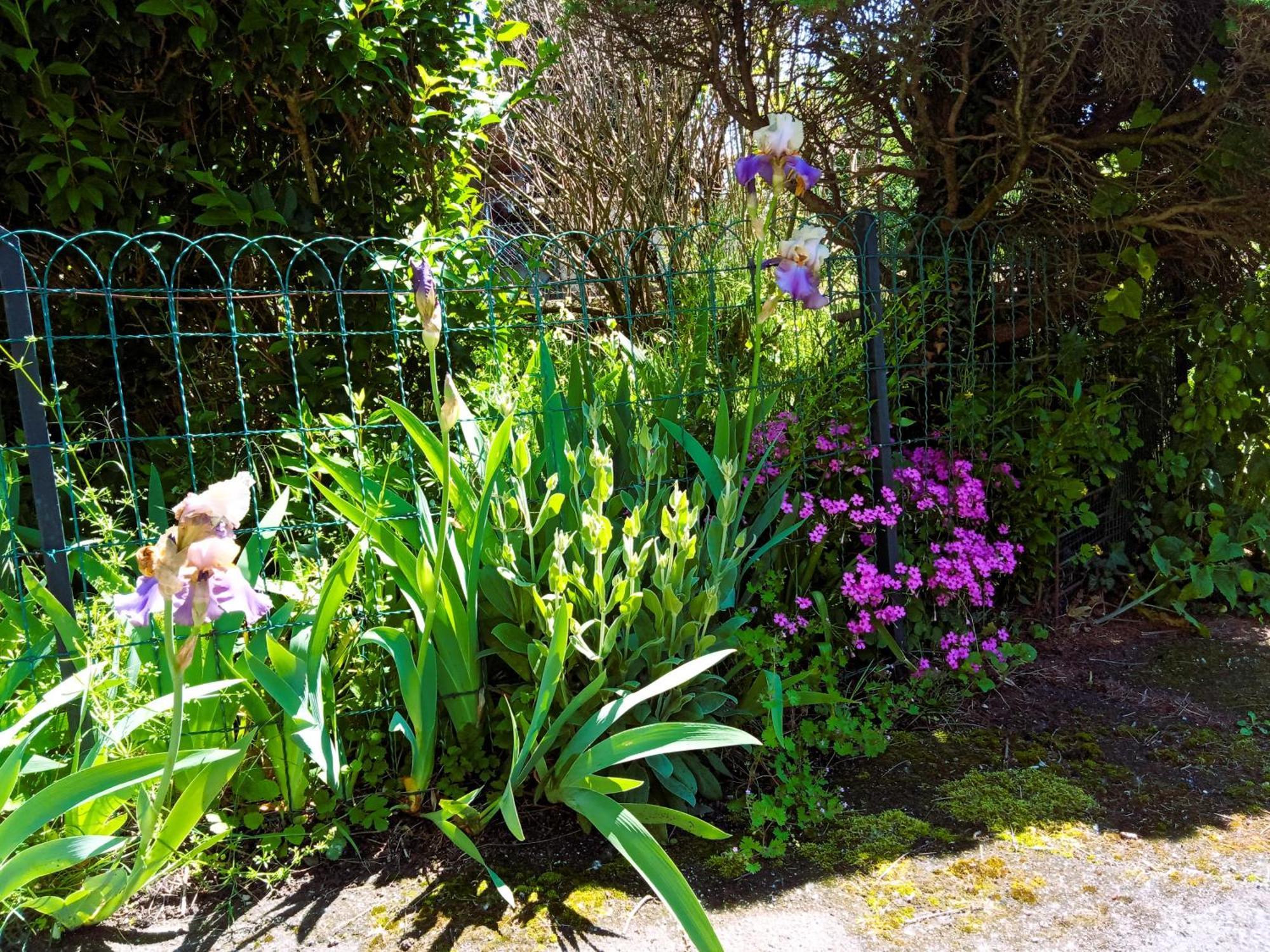 Rosalie Cottage Beaurepaire  Zewnętrze zdjęcie